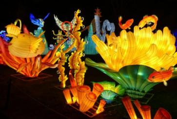 Festival Dragons et Lanternes de Shanghai